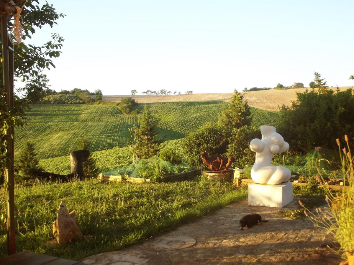 "La Casa Degli Ulivi Art B&B" Trecastelli Exterior foto