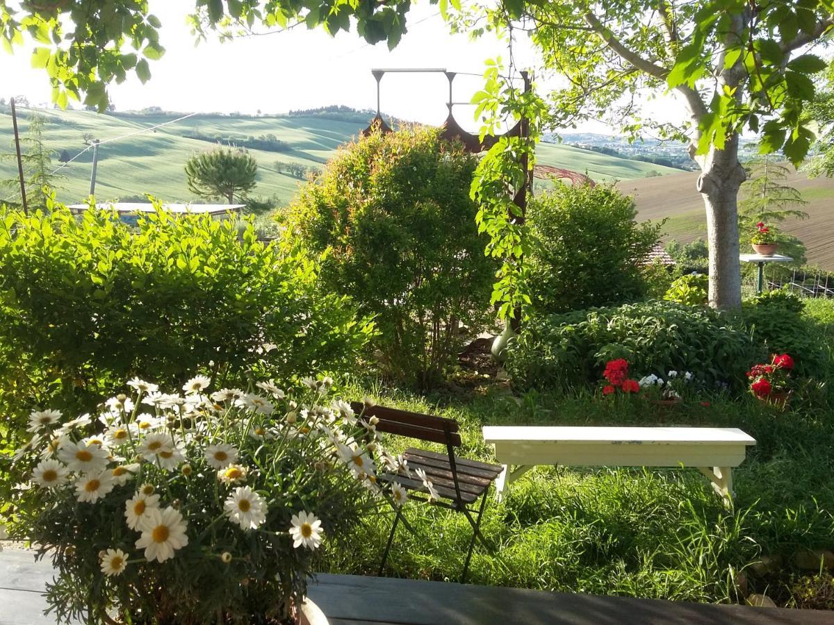 "La Casa Degli Ulivi Art B&B" Trecastelli Exterior foto