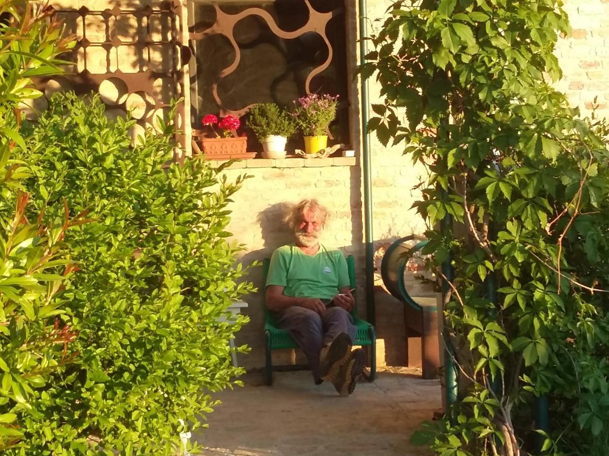 "La Casa Degli Ulivi Art B&B" Trecastelli Exterior foto
